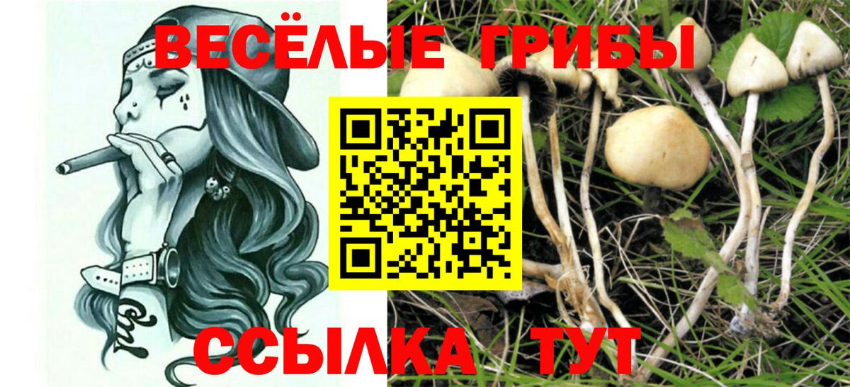 Псилоцибиновые грибы мухоморы Саров